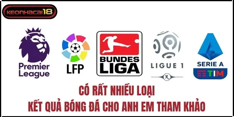 Có rất nhiều loại kết quả bóng đá cho anh em tham khảo