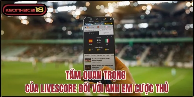 Tầm quan trọng của Livescore đối với anh em cược thủ